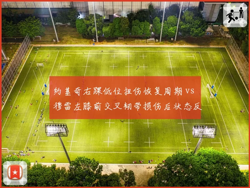 约基奇右踝低位扭伤恢复周期 vs 穆雷左膝前交叉韧带损伤后状态反弹，掘金核心组合复出进度不同