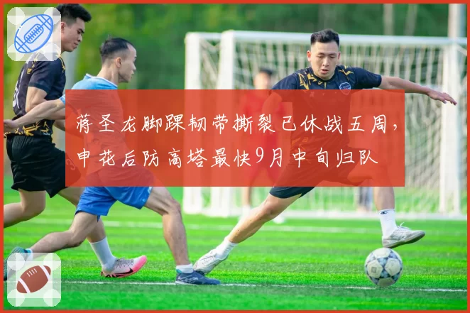 蒋圣龙脚踝韧带撕裂已休战五周,申花后防高塔最快9月中旬归队