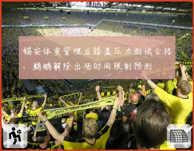 锡安体重管理后膝盖压力测试合格，鹈鹕解除出场时间限制预测